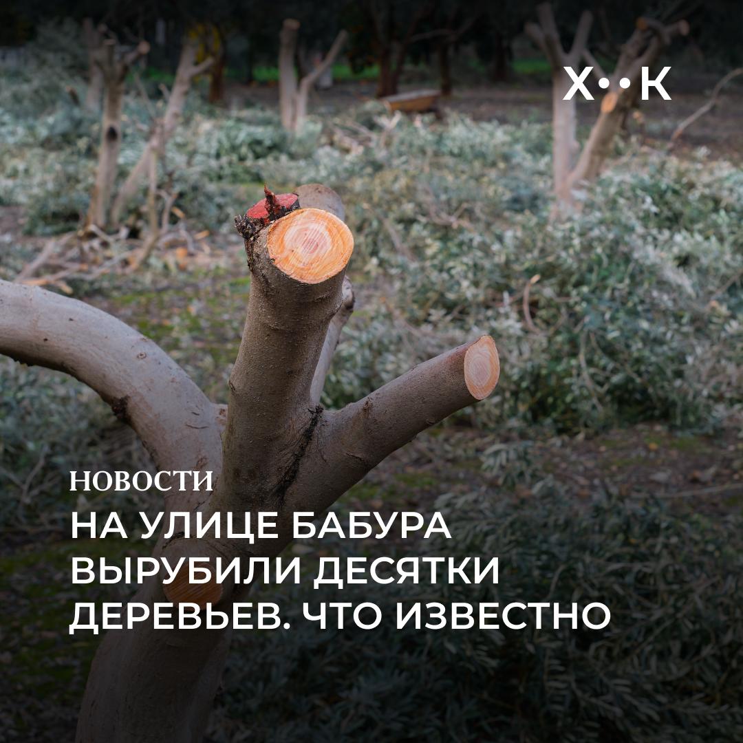 На улице Бабура вырубили десятки деревьев Что известно Со слов очевидцев в ночь на 25 октября на улице Бабура в Яккасарайском районе произошла вырубка деревьев по поручению заместителя хокима Ташкента Б Рахмонова Советник министра экологии Расул Кушербаев привлек внимание к факту о нарушении действующего моратория на вырубку деревьев Согласно данным Кушербаева сотрудники Минэкологии провели проверку и установили что было спилено 144 можжевельника а ущерб природе составил более 620 млн сумов Министерство готовит документы для передачи в прокуратуру В ответ хокимият опубликовал официальное обращение В данный момент на улице Бабура проходят работы по благоустройству и озеленению Можжевельники были поражены заболеванием и медленно увядали из за чего планировалось их пересадить заменив их на 83 саженца гужума и более 62 тысяч декоративных кустарников Однако ответственные лица проявили халатность не выполнили требования В связи с этим проводится проверка по итогам которой будут приняты необходимые меры Поддержать нас Наш Instagram hook report