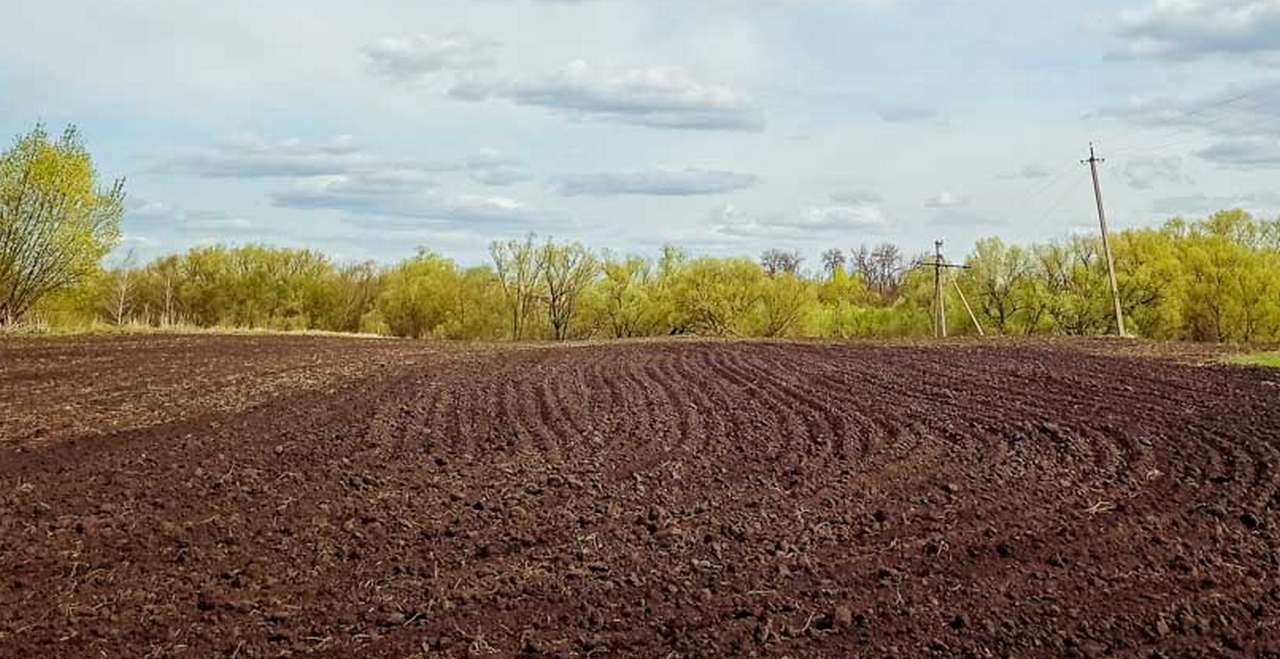 – В Воронежской области активно проводятся комплексные кадастровые работы. Так, с 2022 года уточнены границы почти 40 тысяч земельных участков и объектов капитального строительства. В настоящее время границы порядка 100 тысяч объектов уточняются. В 2025 году проведение ККР из федерального и регионального бюджета продолжится, – сообщил заместитель руководителя Управления Росреестра по Воронежской области Юрий Толоконников. В Воронежской области уменьшится число кадастровых ошибок.