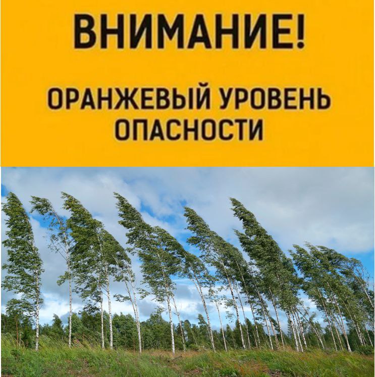 Оранжевый уровень опасности из-за порывистого ветра объявлен в Беларуси 25 июня Порывы ветра могут достигать 20 м/с.