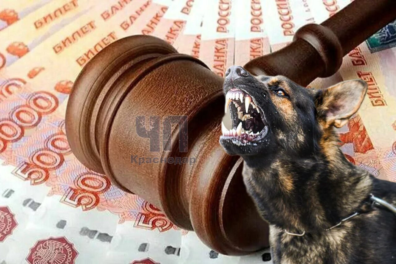 В Курганинске собака покусала школьника, и теперь хозяину придется раскошелиться! 17 февраля нынешнего года четвероногий агрессор напал на 14-летнего подростка, который возвращался из школы. Прокуратура встала на защиту ребенка и отсудила у владельца 50.000₽ компенсации морального вреда.