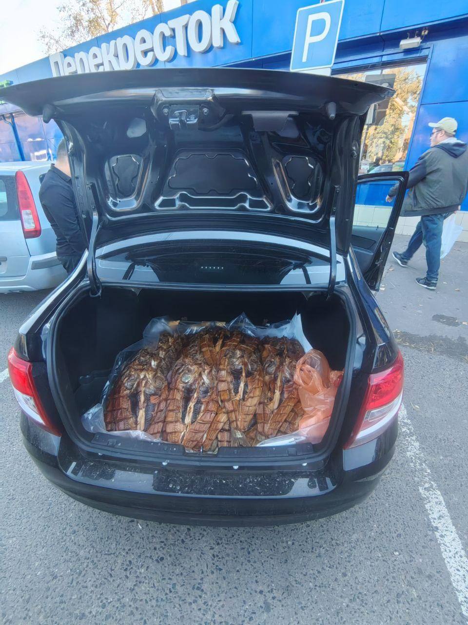 Вчера 22 сентября в торговых точках и на рынках авиаграда прошла масштабная проверка рыбной продукции Инспекторы выявили серьёзные нарушения Сотрудники органов надзора управления безопасности и отдела потребительского рынка администрации проверяли документы на происхождение товара и соблюдение санитарных норм По итогам изъяли значительное количество рыбы сомнительного происхождения Продавцов привлекли к административной ответственности Покупаете рыбу на улице
