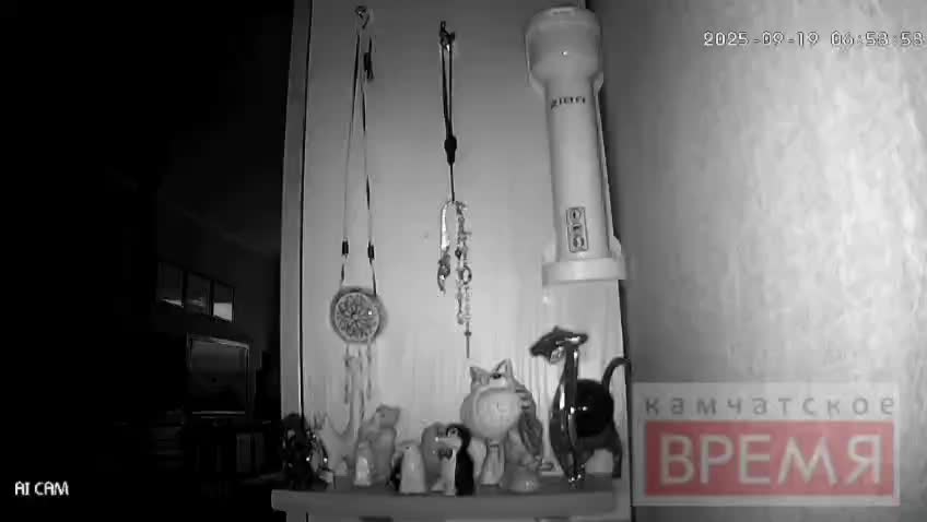 Землетрясение у берегов Камчатки: МЧС предупреждает о возможных волнах
