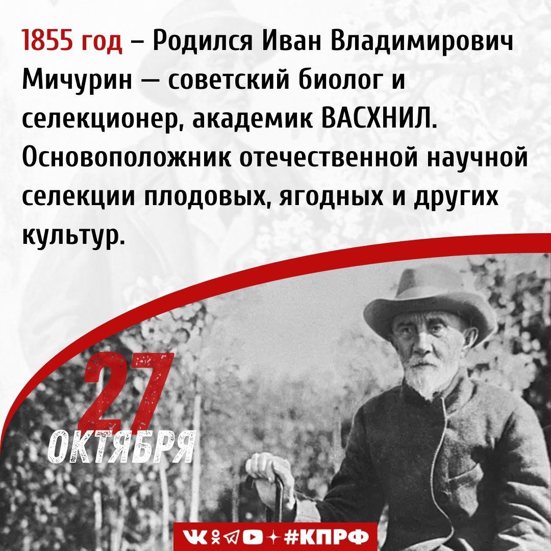 27 октября 1855 года родился Иван Владимирович Мичурин выдающийся советский биолог и селекционер академик ВАСХНИЛ заложивший основы отечественной научной селекции плодовых ягодных и иных сельскохозяйственных культур Садоводство было семейным делом мелкопоместных дворян Мичуриных с начала XIX века В их саду произрастало большое количество плодовых растений а домашняя библиотека в основном состояла из литературы по сельскому хозяйству Иван Владимирович с ранних лет продолжил эту традицию Его отец обучавший крестьянских детей грамоте передал сыну основные навыки садоводства уже в восьмилетнем возрасте мальчик умел выполнять прививки окулировку копулировку и аблактировку растений Работая на станции Козлов Рязано Уральской железной дороги Мичурин по ночам занимаясь починкой часов находил время и для любимого занятия Он арендовал за три рубля в месяц пустующую городскую усадьбу близ Козлова где разбил сад и начал селекционные эксперименты Там были выведены в частности малина Коммерция и вишня Гриот грушевидная Спустя несколько лет в его саду уже росли тысячи гибридных сеянцев вишни сливы абрикоса и винограда В ходе исследований ему удалось установить что более успешным чем прививки методом селекции является помещение растений в менее благоприятные условия Несмотря на успехи до революции государство практически не поддерживало деятельность Мичурина После Великой Октябрьской социалистической революции 1917 года он на следующий же день обратился в только что сформированный уездный земельный отдел и заявил о готовности работать для Советской власти Практически сразу же Мичурину была предоставлена вся необходимая материальная помощь В 1918 году питомник в Козлове национализировали и передали Наркомзему а сам Мичурин стал его заведующим К 1920 году в питомнике было выведено свыше 150 новых гибридных сортов что стало выдающимся результатом За заслуги в селекции Ивану Владимировичу присвоили звание Заслуженного деятеля науки и техники РСФСР наградили орденами Ленина и Трудового Красного Знамени В 1935 году он стал академиком ВАСХНИЛ и почётным членом Академии наук СССР Его научные труды заложили основу для развития селекции и генетики в СССР Иван Владимирович Мичурин скончался 7 июня 1935 года В последний путь учёного провожала вся страна а похоронили его на территории родного питомника