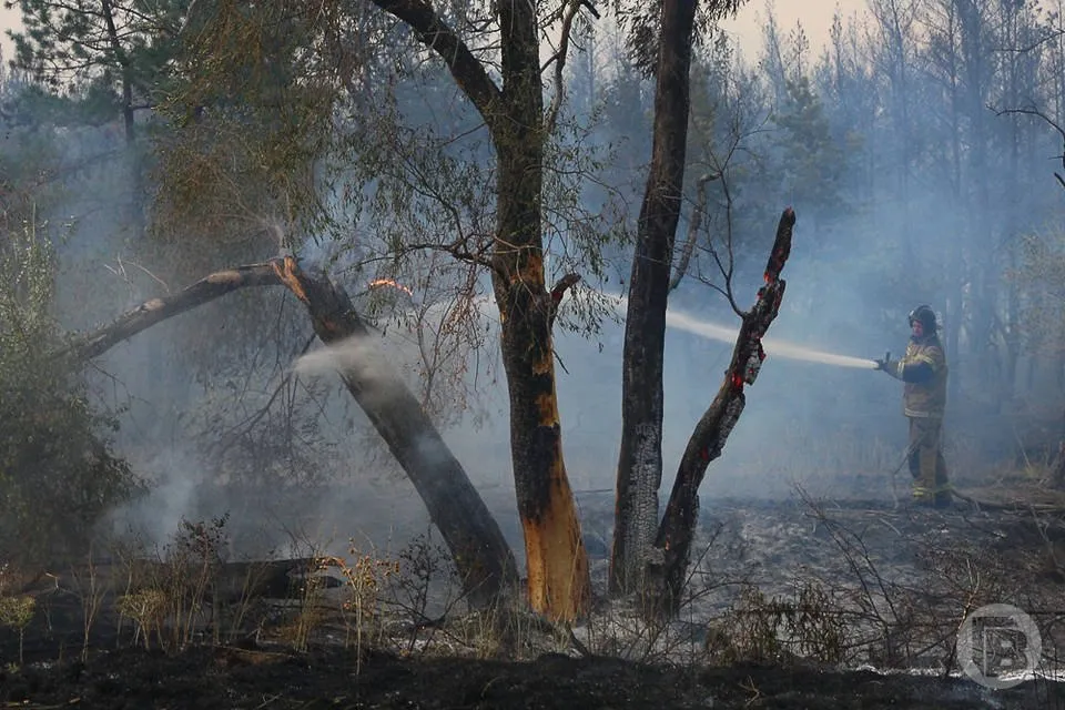 Высокая пожароопасность ожидается в 17 районах Волгоградской области в период с 10 по 11 мая говорится в приложении МЧС России