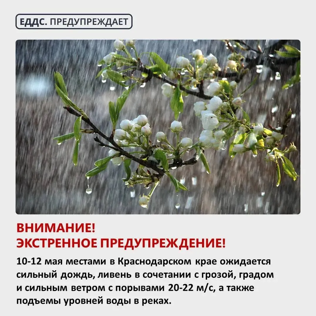 Экстренное предупреждение 10 12 мая в Краснодарском крае ожидается сильный дождь ливень в сочетании с грозой градом и сильным ветром с порывами 20 22 м с а также подъемы уровней воды в реках В случае возникновения чрезвычайных ситуаций звонить по Единому номеру вызова экстренных служб 112 Краснодар Сегодня Телеграм ВСЁ оставайтесь на связи с нами в MAX   max ru krd 00
