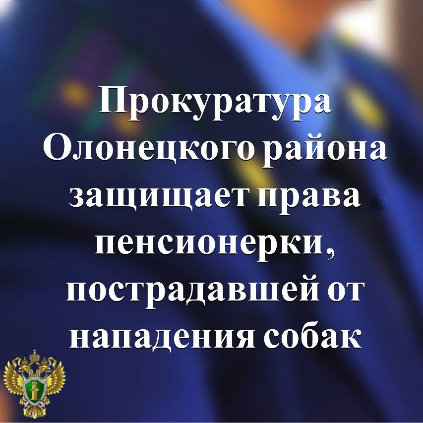 Прокуратура Олонецкого района, действуя в интересах пенсионерки, пострадавшей от нападения двух соседских собак, обратилась в суд с иском о взыскании с владелицы животных компенсации морального вреда. Подробнее - на сайте прокуратуры республики. Прокуратура Карелии