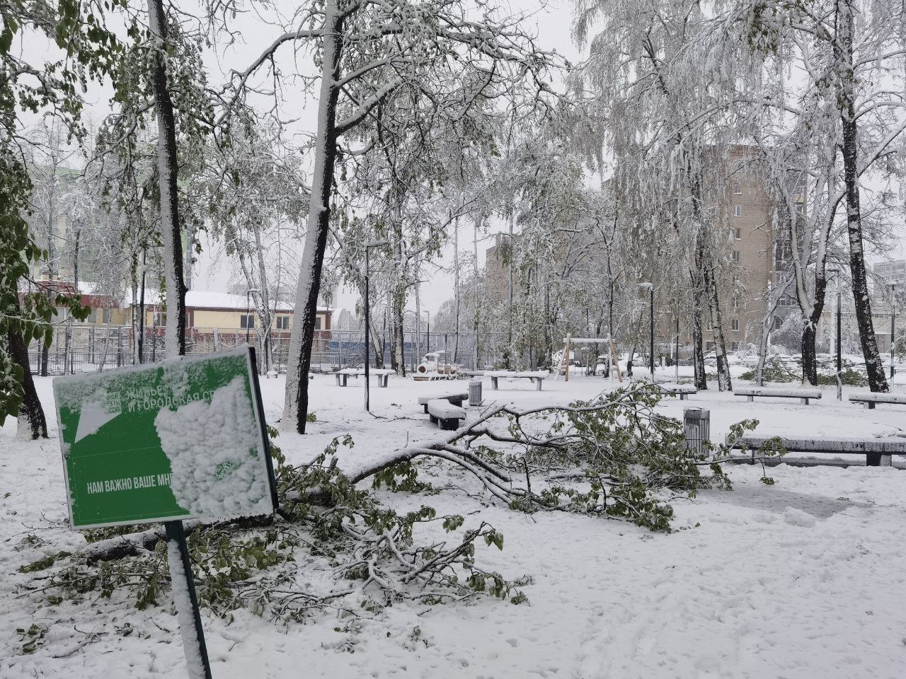 Последствия сильного снегопада в Сергиево-Посадском округе постепенно устраняются Брошены все силы, чтобы максимально быстро справиться с ситуацией. На ул. Инженерной у д. №4 освободили вход в подъезд, на Скобяном посёлке, в районе магазина «Лимузин», от поваленных деревьев освободили тротуар. Бригады коммунальщиков работают на Рабочем пос. и в мкр. Звёздочка. Упавшее дерево, которое заблокировало въезд в морг, тоже успели убрать. Работы по ликвидации последствий урагана завершены на Зелёном пер. д.25, ул. Бероунская д.20/1, ул. Дружбы, д.4а,б,в, ПКА 195/1, ул. Суворова, д.8/1, ул Инженерная, д.4,6 и ул. Куликова. От поваленных деревьев освободили дороги у д. Соснино и д. Алферьево. Работы ведутся сразу по десяткам адресов по всей территории округа. Жителей просят отнестись с пониманием к выполнению заявок по устранению последствий снежного коллапса.