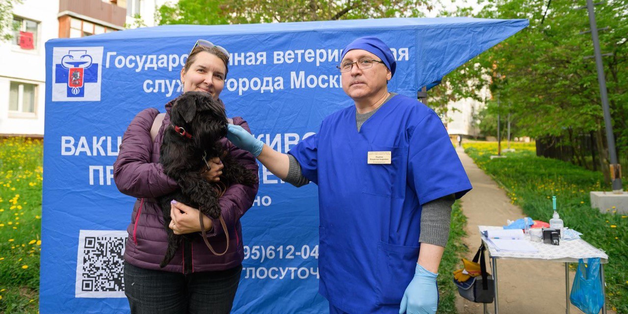 В Москве началась бесплатная вакцинация домашних питомцев Горожане могут приходить с животными в прививочные пункты рядом с площадками для выгула собак или в столичные государственные ветклиники. Также возможен выезд ветеринара на дом. Фото: mos.ru