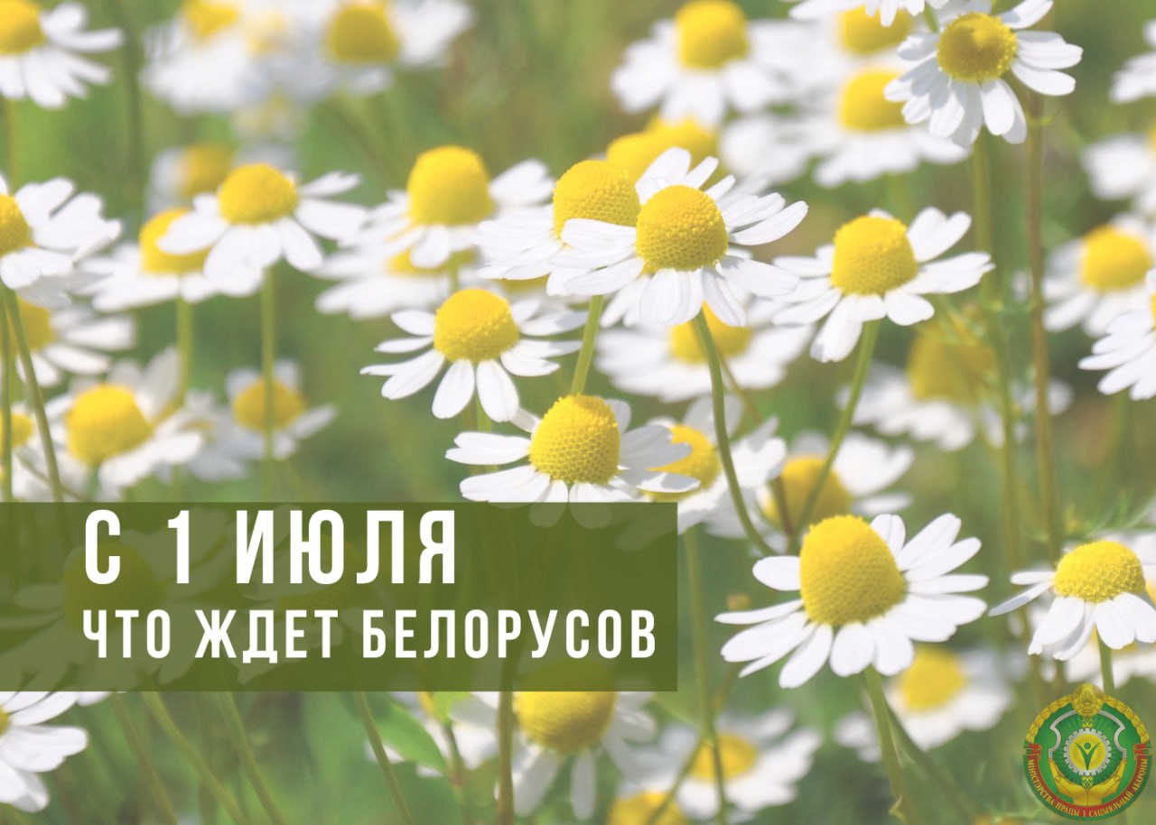 Что изменится для белорусов в июле — собрали важное  1  Соцвыплаты – через базовый счет  Выплаты социального характера – от пенсий до пособий – будут осуществлять только на базовые счета.  Стоит отметить, что процесс переоформления текущих счетов в базовые в стране начали уже в 2022 г., крайним сроком завершения этой процедуры было определено 20 июня.  Таким образом, с 1 июля 2025 г. на базовый счет переводятся такие выплаты, как: пенсии; пособия на детей, которые выплачиваются через органы по труду, занятости и соцзащите, а не от нанимателя; пособие по безработице и другие выплаты от центра занятости; государственная адресная социальная помощь; пособие по уходу за инвалидом I группы или лицом старше 80 лет; выплаты тем, кто занимается уходом за людьми в замещающих семьях; выплаты на близнецов; материальная помощь к школе.  Здесь мы рассказали подробнее про базовые счета.  2  В отдельных районах с 1 июля начинается прием заявлений об оказании матпомощи к школе  Его размер составит 30% от бюджета прожиточного минимума  БПМ  на 1 августа 2025 года на каждого ребенка-школьника.   Здесь всё про матпомощь к школе.  3  Стартует вступительная кампания  Напоминаем, что многодетные семьи могут оплатить обучение в вузе или колледже с помощью семейного капитала.  4  Большие выходные  Традиционно 3 июля Беларусь отмечает День Независимости. Рабочий день с 4 июля  пятница  переносится на 12 июля  суббота . Таким образом, непрерывные выходные дни: 3,4,5,6 июля – 4 дня.