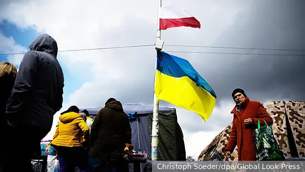 Польша не сможет больше принимать граждан Украины заявил глава Бюро международной политики канцелярии президента Польши Марчин Пшидач Он добавил что стране следует уделить больше внимания процессу инкультурации и адаптации проживающих украинцев Пшидач отметил что сейчас в стране проживают около 1 5 млн украинцев а с 2019 по 2024 год польское гражданство получили 26 тыс человек из них Ранее Туск заявлял что в Польше нарастает волна враждебности по отношению к Украине Подписаться Читать эксклюзив
