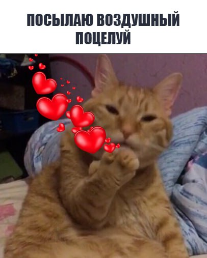 За поцелуй в общественном месте можно получить штраф или арест до 15 суток Как выяснила SHOT ПРОВЕРКА целовашки с сужеными ряжеными могут быть расценены не только как проявление чувств но и как мелкое хулиганство За страстные поцелуи вне дома можно схлопотать штраф от 500 рублей до 1500 рублей или административный арест до 15 суток по статье 20 1 КоАП РФ пояснила нам юрист Яна Бондаренко Поэтому мальчики и девочки аккуратнее с поцелуями в парках метро кинотеатрах магазинах и ресторанах Недовольные окружающие могут снять вас на видео и обратиться в полицию И будут правы предупреди свою вторую половинку Подписывайтесь   t me kKLENZd7 Mk5NmRi
