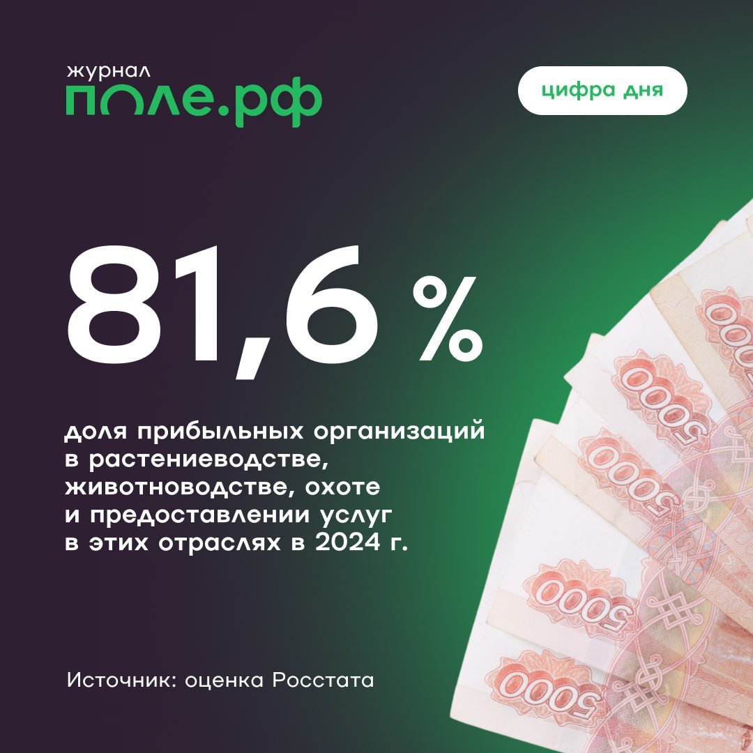 Доля прибыльных сельхозорганизаций выросла на 0,6 процентных пункта в 2024 году, подсчитал Росстат.  В рыбоводстве и рыболовстве показатели хуже — только 61,3% предприятий получили прибыль  68,8% годом ранее .  В целом в отраслях сельского, лесного хозяйства, охоты, рыболовства и рыбоводства в 2024 году прибыль получили 79,3% предприятий против 78,9% в 2023 году.  Подробнее.