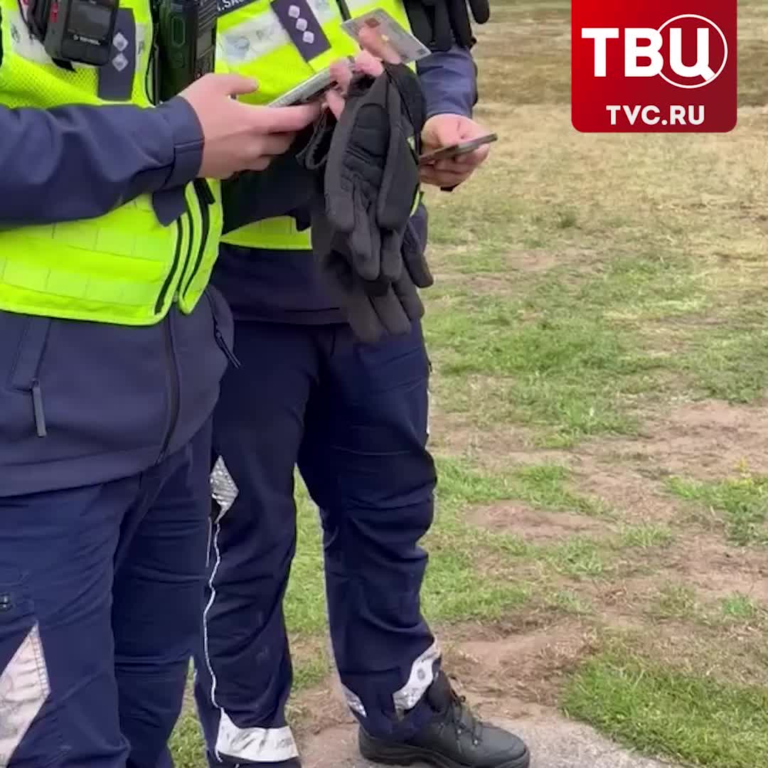 Латвийская полиция ошибочно задержала женщину из-за сумки с цветами, напоминающими российский флаг