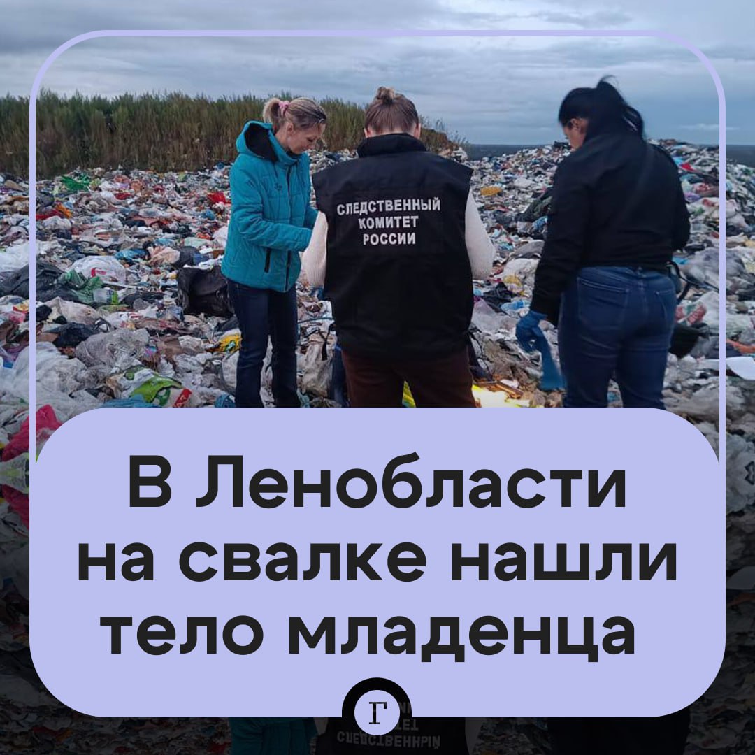 В Ленобласти на свалке обнаружили тело новорожденного Страшную находку сделал водитель мусоровоза при сортировке отходов на полигоне твердых бытовых отходов в деревне Лепсари Известно что машина приехала на полигон из Мурино Возбуждено уголовное дело об убийстве новорожденного матерью тело направлено в морг для установления точной причины смерти Читайте Газету Ru в MAX