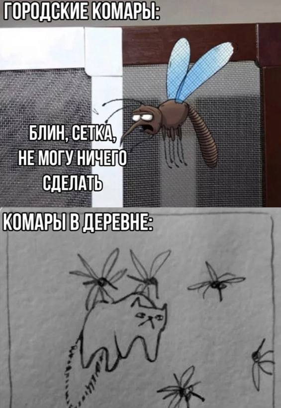 Будет ли лето-2025 «комариным»? В южных регионах страны вылупившиеся из яиц личинки уже могли успеть развиться во взрослых комаров. Специалисты отмечают, что если май окажется теплым и дождливым а он пока как раз такой , это создаст идеальные условия для размножения комаров. Тогда уже ко второй половине месяца их может стать заметно больше, чем обычно. Для отпугивания комаров рекомендуются стандартные меры — репелленты внимательно ознакомьтесь с инструкцией перед применением , противомоскитные сетки на окна, ультразвуковые отпугиватели комаров.