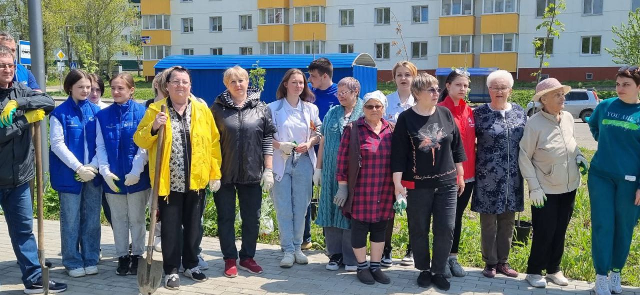 В Александровск-Сахалинске состоялась закладка живой аллеи вчесть 80-летия Великой Победы.  В высадке деревьев в сквере имени сахалинского героя Великой Отечественной войны  И.Н.Тельнова приняли участие члены Александровск-Сахалинской территориальной и участковых избирательных комиссий.  Как рассказала председатель Александровск-Сахалинской территориальной избирательной комиссии Надежда Васильева, акция стала данью памяти героям, ценой невероятных усилий подаривших нам мир и право на жизнь.  Высаженная рябиновая аллея будет напоминать будущим поколениям о мужестве и самоотверженности наших предков.