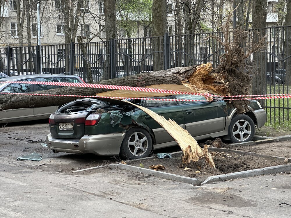 В Москве 8 июня из-за штормового ветра рухнули 62 дерева, повреждены 28 машин Стали известны последствия шторма в Москве 8 июня. Так, в воскресенье в столице в течение дня рухнули 62 дерева и повредили 28 машин. Об этом РИА Новости сообщили в экстренных службах. Сегодня также в Москве ожидается непогода. Ранее синоптики и сотрудники МЧС уже предупредили горожан о ливнях, грозах, шквальном ветре и граде. Такие же экстремальные…