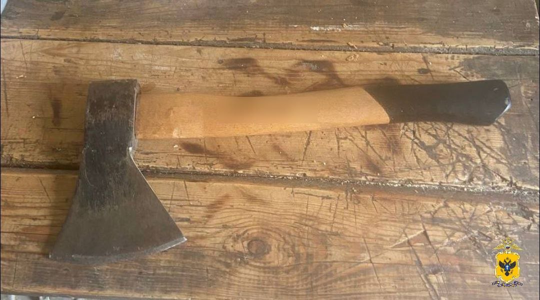 В Геническом округе полицейские задержали мужчину, угрожавшего убийством своей супруге У жительницы села Чонгар произошел конфликт на бытовой почве с 57-летним супругом. В ходе ссоры мужчина взял топор и нанес женщине удар в область плеча, при этом угрожая физической расправой. "Участковые уполномоченные полиции по горячим следам задержали злоумышленника, который сознался в содеянном. В отношении фигуранта решается вопрос о возбуждении уголовного дела", — сообщили в ГУ МВД России по Херсонской области. ПОДПИСАТЬСЯ НА ТАВРИЮ