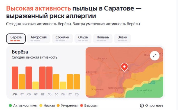 Высокая активность пыльцы в Саратове Сегодня в Саратовской области наблюдается повышенный уровень активности березы. Такие показатели прогнозируются еще в среду, пятницу и субботу. Как пережить период активности цветения и другие советы для аллергиков читайте тут . , если аллергик , если не страдаешь аллергией Прислать новость