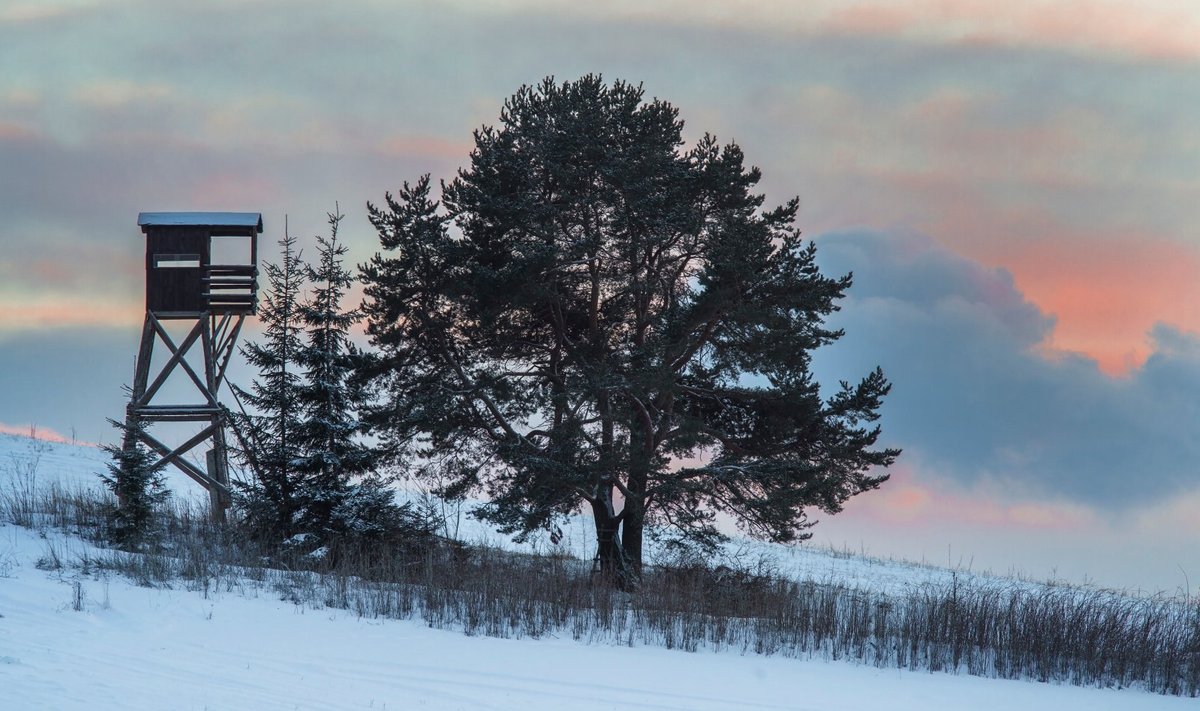 Из за неблагоприятных условий звучит призыв отказаться от охоты в ближайшие выходные Литовское сообщество охотников и рыболовов просит отложить охоту из за неблагоприятных для животных условий  На всей территории страны фиксируются глубокие сугробы а на покрывшей их корке льда лежит свежий снег местами толщина снежного покрова составляет 40 50 см  Это очень сложные для диких животных условия им сложно двигаться и добывать пищу из под снега С учетом этих обстоятельств а также озабоченности жителей сообщество рекомендует всем охотничьим кружкам и клубам в эти выходные не организовать охоту с загонщиками Это призыв выбирать то что всегда было важно для охотников опеку заботу и ответственность Давайте уделим время пополнением кормов на площадках осмотру территорий обеспечим покой диким животным которые уже давно не видели таких суровых зим Иногда сила охотника способность ждать пишет содружество www delfi lt a 120205238