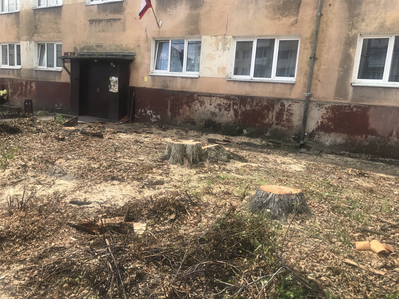 На улице Горького в Калининграде вырубили более 13 возрастных деревьев На ул. Горького, 19 у корпуса общежития №3 КГТУ на прошлой неделе вырубили целую рощицу перед зданием. Проезжающие мимо на общественном транспорт и те, кто проходят мимо, сегодня с возмущением разглядывают то, что от нее осталось. Корреспондент «Нового Калининграда» насчитал более 13 пней разного диаметра - от 50 см и почти до 1 м. «Там теплосеть меняет старые трубы, - ответили в пресс-службе администрации Калининграда на гневный вопрос одного из горожан в социальной сети ВКонтакте. - К сожалению, деревья были высажены без учета того, что там пролегают коммуникации. Потом произведут компенсационные посадки в том же районе». Надо сказать, что помимо урона экологии города вырубщики подложили «свинью» и калининградскому вузу: к всеобщему обозрению открылся совершенно неприглядный, облезлый фасад общежития, который раньше скрывали раскидистые деревья. Фото: «Новый Калининград»