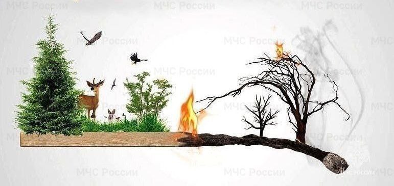 В Туве снят режим ЧС в лесах регионального характера В связи со стабилизацией обстановки с лесными пожарами, Правительством Республики Тыва принято Постановление № 328 об отмене режима чрезвычайной ситуации регионального характера в лесах на территории Республики Тыва.