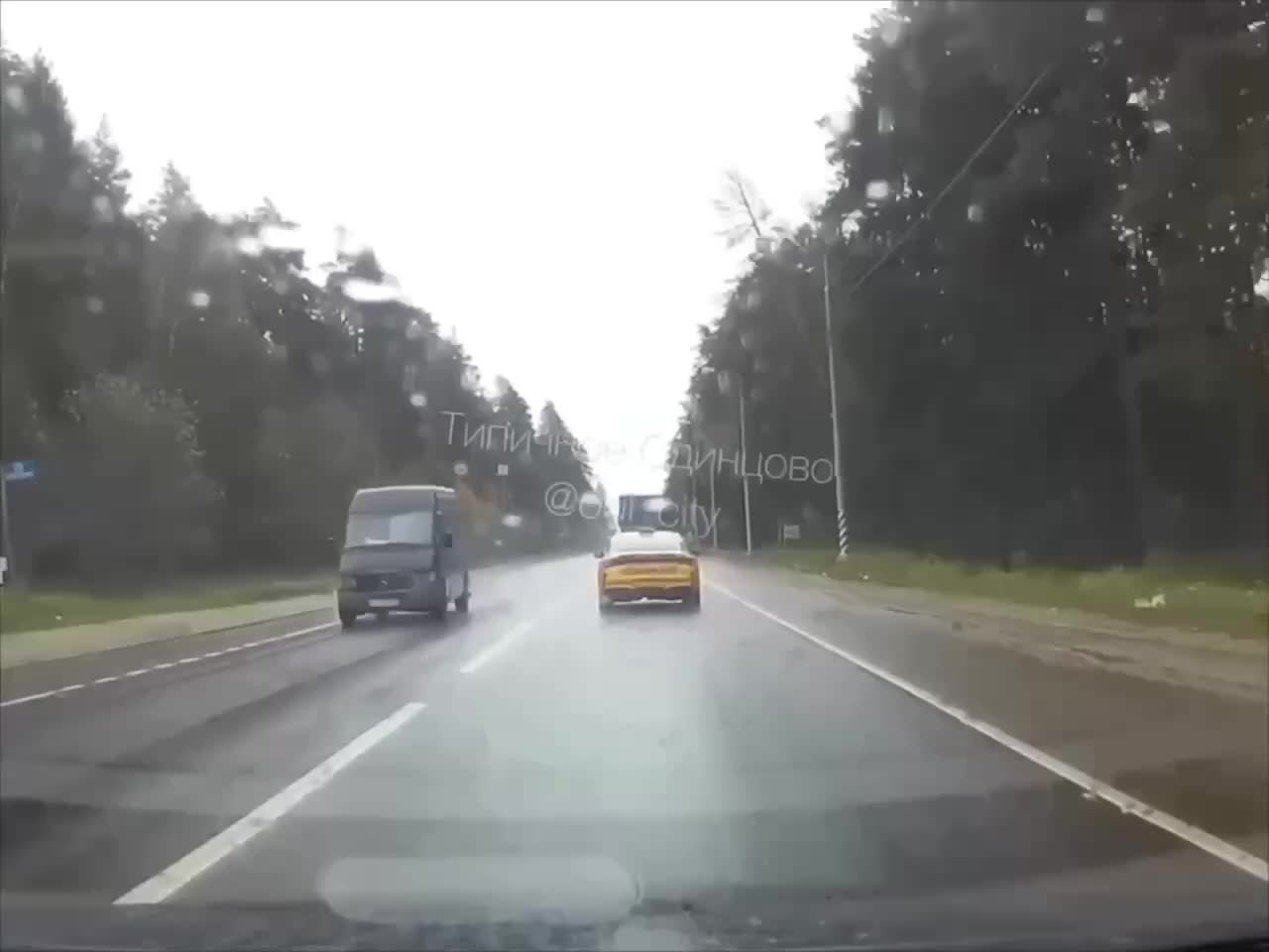 В Одинцовском округе дерево упало на дорогу, никто не пострадал