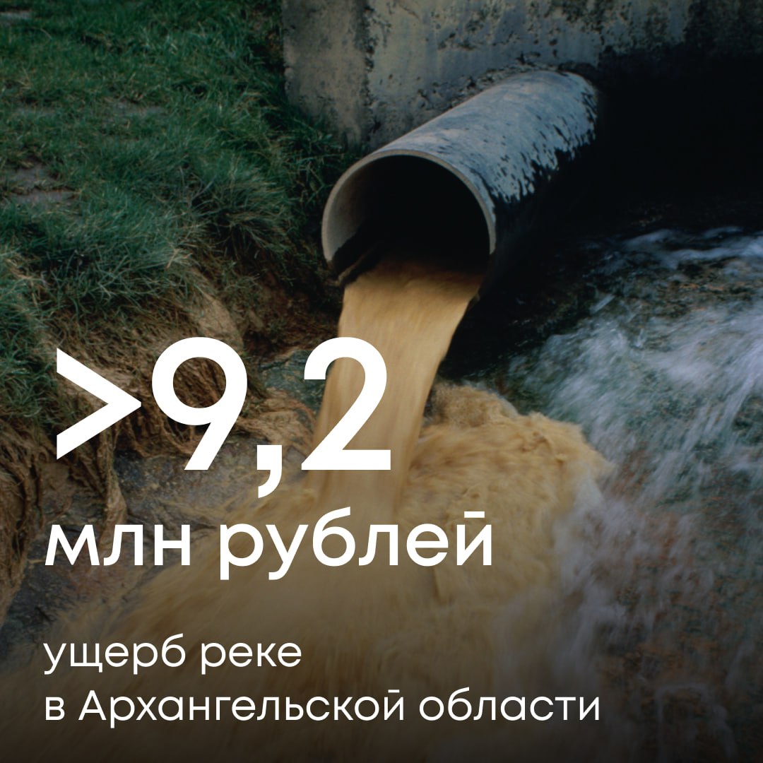 МУП «Городское благоустройство» допустило сброс неочищенных ливневых стоков в реку Северную Двину в Архангельске. Пробы показали превышение допустимых концентраций загрязняющих веществ. Ущерб водоему оценен в 9,2 млн рублей. Поскольку предприятие не возместило вред добровольно, Росприроднадзор обратился в суд. Арбитражный суд Архангельской области удовлетворил наш иск, апелляционная инстанция оставила решение в силе — МУП «Городское благоустройство» обязано компенсировать ущерб реке в полном объеме.