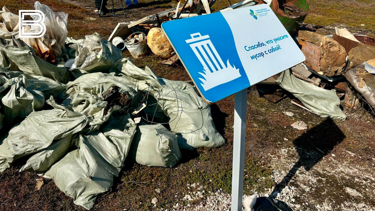 Прокуратуру привлекут к решению вопроса с вывозом мусора в Мурманской области Мусорный коллапс в Мурманской области Жители жалуются на переполненные контейнеры особенно в Апатитах Причина поломки мусоровозов Ситиматик заявил на оперативном совещании глава города Николай Бова Губернатор поручил провести с организацией разговор с привлечением прокураруты чтобы принять по отношению к компании максимально жесткие финансовые и административные меры Системно ничего не меняется Вы довели ситуацию до того что приходится элементарные вопросы вывоза мусора рассматривать на моем уровне Это очень плохая ситуация и для вас прежде всего Время уговоров прошло заявил Андрей Чибис обращаясь к руководителю АО Ситиматик Все самые важные новости Telegram MAX