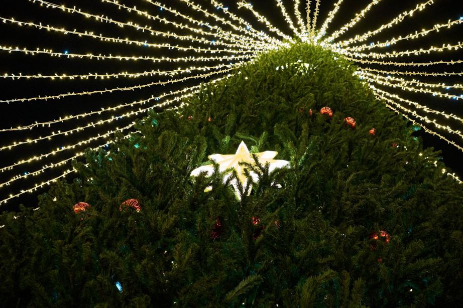 Раз два три Ёлочка гори 1 декабря в Хабаровске зажгут огни на главной в крае новогодней елке Зеленая красавица засияет в 18 00 Приходите и почувствуйте атмосферу волшебства и праздника Минпромторг Хабаровского края