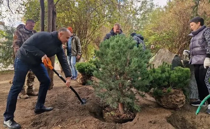 Власти Ростова запланировали высадить почти 24 тысячи сосен на Левобережной  На улице Левобережной в Ростове в этом году планируют высадить 23,7 тысячи саженцев крымской и обыкновенной сосны, сообщил начальник городского управления благоустройства и лесного хозяйства Антон Наумов.    Он отметил, что на левом берегу уже подготовлена почва на лесном участке площадью более 5 гектаров.    — Саженцы необходимо посадить до начала периода развертывания почек, — подчеркнул Наумов.    В мэрии уточнили, что в 2024 году на Левобережной было высажено более 10 тысяч деревьев, в озеленении принимали участие и жители города. Однако горожане жаловались на недостаточный уход за новыми саженцами, указывая на множество погибших деревьев, например, возле «Ростов Арены».    Антон Наумов заявил, что по содержанию лесных кварталов выполняется целый комплекс работ.    — Проводится периодическая уборка от случайного мусора и ликвидация свалок. Удаляются аварийные деревья, минерализованные полосы регулярно обновляются, выполняется покос и прочистка, — сообщил он.   Подписаться на "Новости Ростова"    Прислать новость