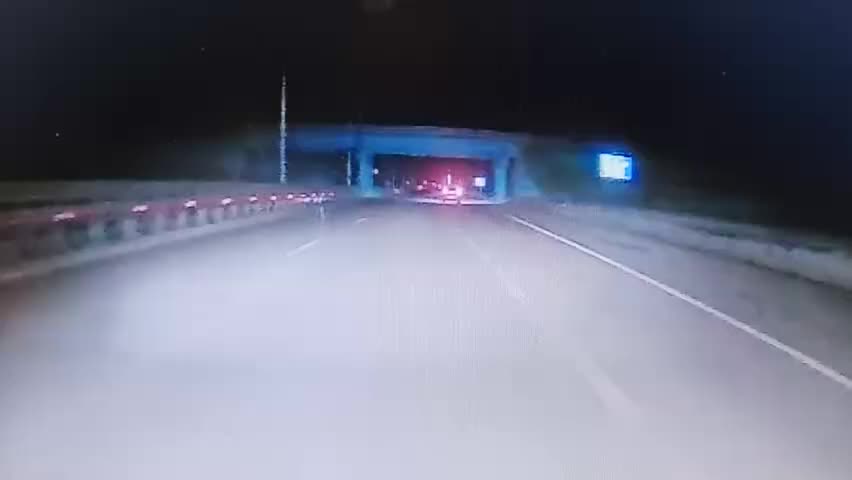 Амурский тигр замечен в Приморье: специалисты проверяют ситуацию