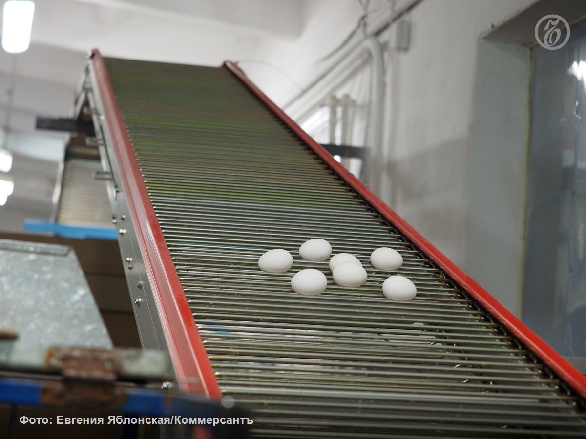 Занимающая 20 рынка куриных яиц ЦФО птицефабрика Волжанин приостановила отгрузки продукции Причиной один из собеседников Ъ на птицеводческом рынке называет выявление на площадке предприятия высокопатогенного гриппа птиц ВПГП На проведение карантинных мероприятий и восстановление поголовья производителю в этом случае потребуется около полугода Дополнительные затраты бизнес понесет в условиях резкого падения рентабельности Ъузнал