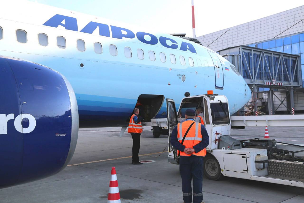 Спасенные медвежата из Мирного прибыли в Якутск В аэропорт Якутск из Мирного прибыли три бурых медвежонка. Медвежатам около 2-3 месяцев. Их нашли в окрестностях Чернышевского. Малыши остались без матери и бродили у поселка одни. Местный житель спас медвежат от нападения собак и передал в Мирный для дальнейшей помощи.
