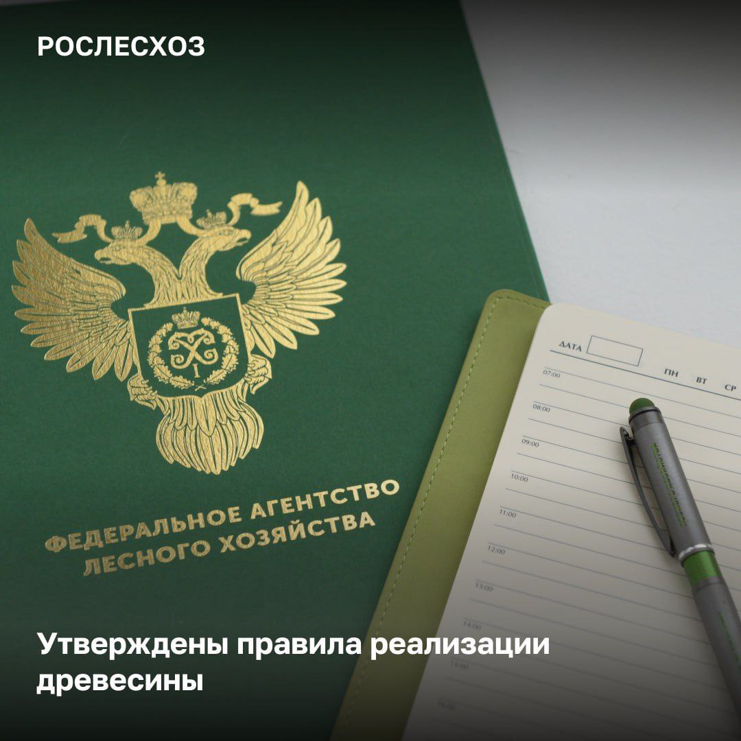Правительство России утвердило Правила реализации древесины полученной из деревьев срубленных на земельных участках или землях которые находятся в федеральной собственности Основные положения Новый механизм предполагает реализацию такой древесины на торгах на основании договора купли продажи Продавцом выступает Росимущество которое определяет начальную цену продажи древесины и величину ее повышения условия аукциона заключает договоры купли продажи При этом пользователи земельных участков получившие древесину в результате рубки деревьев на землях находящихся в их пользовании могут выкупить древесину без проведения торгов Реализуемая древесина учитывается в соответствии с положениями Лесного кодекса в том числе при ее хранении транспортировке переработке продаже и передаче подчеркнула Начальник Управления правового обеспечения и использования лесов Рослесхоза Елена Бородавкина На какую древесину новые правила не распространяются древесину которая получена в результате использования лесов и осуществления мероприятий по сохранению лесов порядок реализации которой урегулирован Лесным кодексом древесину в отношении которой законодательством установлен особый порядок распоряжения и реализации Например древесины полученной при использовании лесов для изучения недр и недропользования строительства и эксплуатации линейных объектов и гидротехнических сооружений Рослесхоз в МАХ max ru rosleshozrf