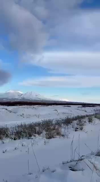 В Чите стартует Русский форум с участием Джамбулата Умарова и конкурса Русская кухня Забайкалья