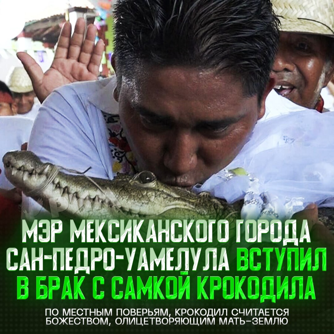 В Мексике мэр женился на самке крокодила — этому ритуалу уже более 230 лет Глава города Сан-Педро-Уамелула по имени Даниэль Гутьеррес вступил в символический брак с кайманом. Перед церемонией самку в белом свадебном платье пронесли по улицам. В культуре животное является олицетворением «Матери-земли», таким образом Гутьеррес как бы воссоединил мир людей и богов. Местные жители до сих пор верят, что такой союз приносит месту процветание, хороший урожай и богатый улов. Скидывай кенту, который тоже женился на крокодиле Рифмы и Морген