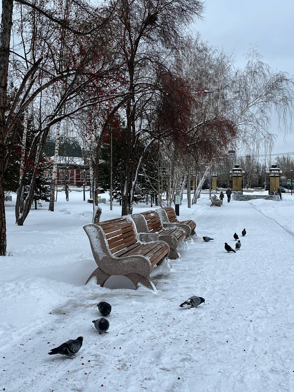 Парк Центральный будет временно недоступен для посещения С 10 по 14 ноября он будет закрыт в связи с подготовкой к новогодним праздникам В эти дни в парке обновят оборудование и украсят территорию праздничными декорациями Толк