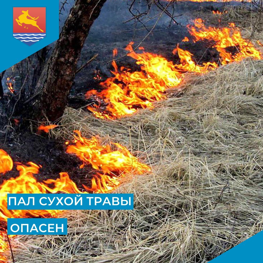 В связи с наступлением теплого сезона, когда риск возникновения лесных пожаров возрастает, выжигание сухой растительности может привести к серьезным последствиям.   За такие действия предусмотрены крупные штрафы.   За нарушение требований пожарной безопасности гражданам придется заплатить от 5 до 15 тысяч рублей, должностным лицам – от 20 до 30 тысяч рублей, индивидуальным предпринимателям – от 40 до 60 тысяч рублей. Для юридических лиц размер штрафов самый большой: от 300 до 400 тысяч рублей.   Помните: пожары наносят огромный ущерб экосистеме и могут угрожать жизни и здоровью людей. Поэтому важно помнить о том, что даже небольшое неосторожное действие может привести к масштабным бедствиям.    В случае возникновения или обнаружения возгорания необходимо сообщить в пожарную охрану по телефонам: 101 или 112.  #Магадан #Безопасность #Пожар