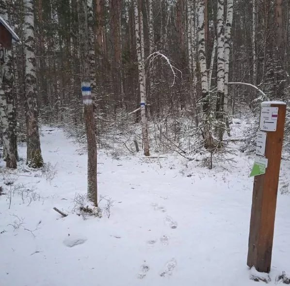 В нацпарк «Зигальга» пришла зима  В национальный парк «Зигальга»  Катав-Ивановский район, Челябинская область  пришла снежная зима – всего за сутки толщина белого покрывала достигла здесь почти десяти сантиметров.  Как отмечают в нацпарке, если верить народным приметам, в ближайшие месяцы стоит ждать крепких морозов и частых метелей.