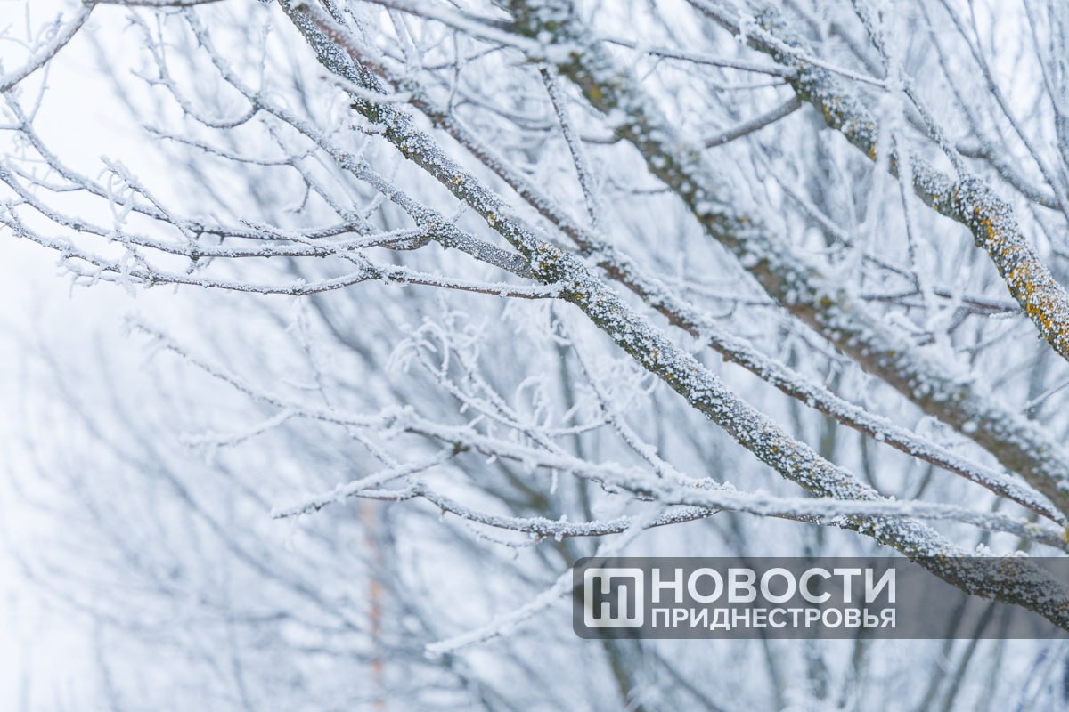 Снегопад во второй половине дня в Приднестровье усиливается как и обещали синоптики Усиливается и ветер В Тирасполе уже заметно намело В некоторых микрорайонах города проблемы с движением транспорта Электричество есть во всей республике аварийных отключений по данным Единых распределительных электрических сетей на этот час нет Если верить погодным сайтам пик снегопада придется на 17 00 19 00 Новости Приднестровья