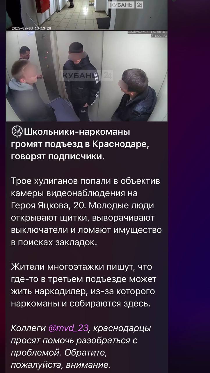 ‼ На основании выявленной в сети Интернет информации полицией города Краснодара проводится проверка. Устанавливаются личности указанных в публикации граждан, а также мотивы их действий.  По окончании разбирательства будет принято процессуальное решение.   ‍  Пресс-служба Управления МВД России по городу Краснодару. Подписаться