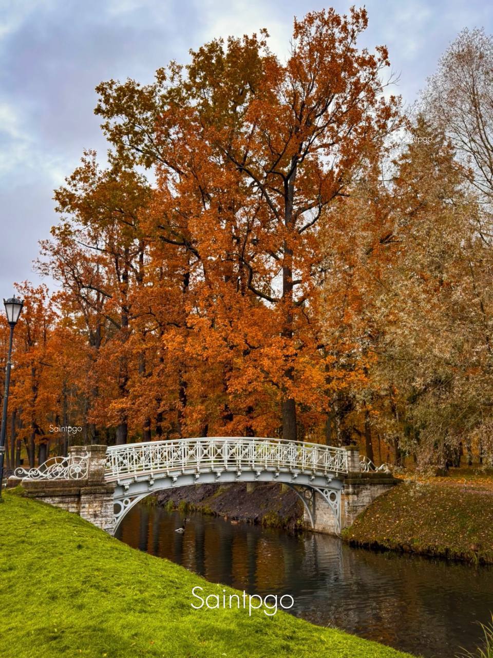 С 1 ноября вход в Дворцовый парк Гатчины стал бесплатным Парк открыт для прогулок с 6 утра до 10 вечера кроме понедельника Осенью здесь особенно красиво аллеи усыпаны золотыми листьями а виды у дворца словно сошли с открытки Подписаться на канал жми тут Прислать новость спб питер Петербург