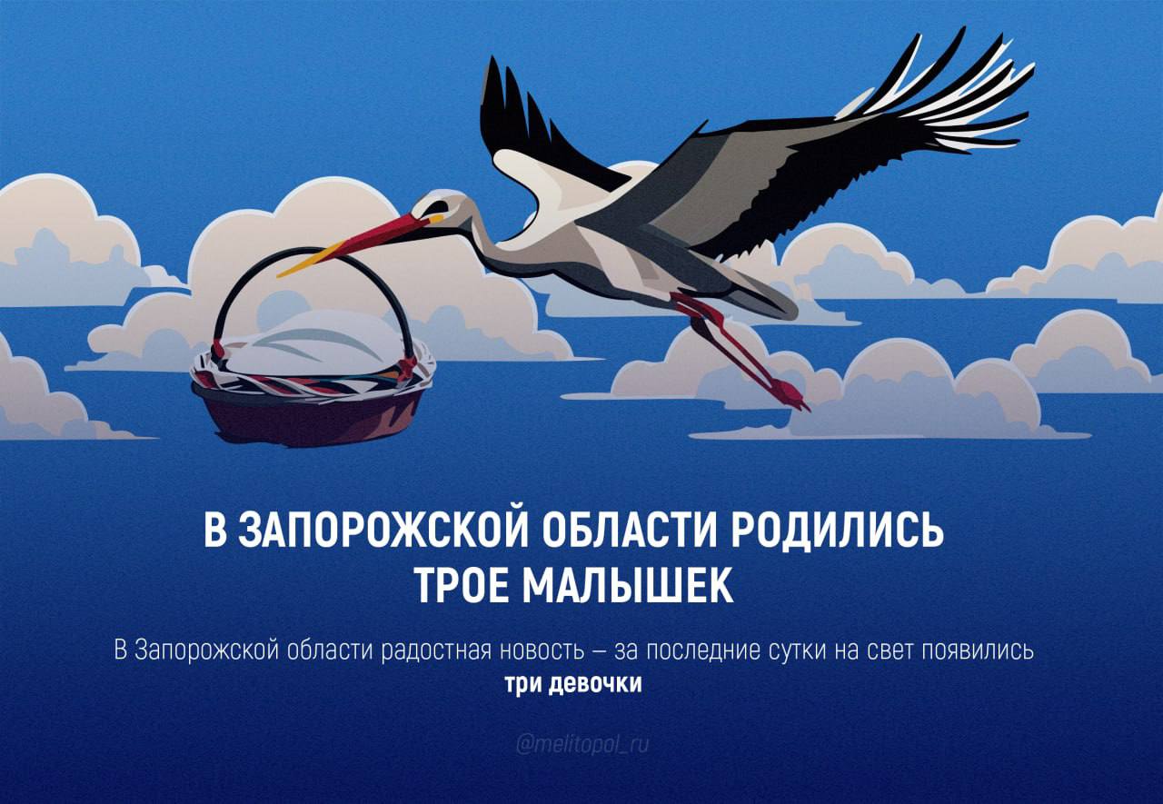 За сутки в Запорожской области родились три малышки В Запорожской области за последние сутки на свет появились три девочки, сообщили в региональном минздраве.