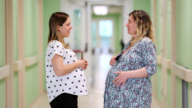 Минздрав предложил ввести обязательное неинвазивное пренатальное тестирование НИПТ для всех беременных Это следует из проект нового порядка ведения беременности подготовленного ведомством Дмитрий Ягодкин ТАСС