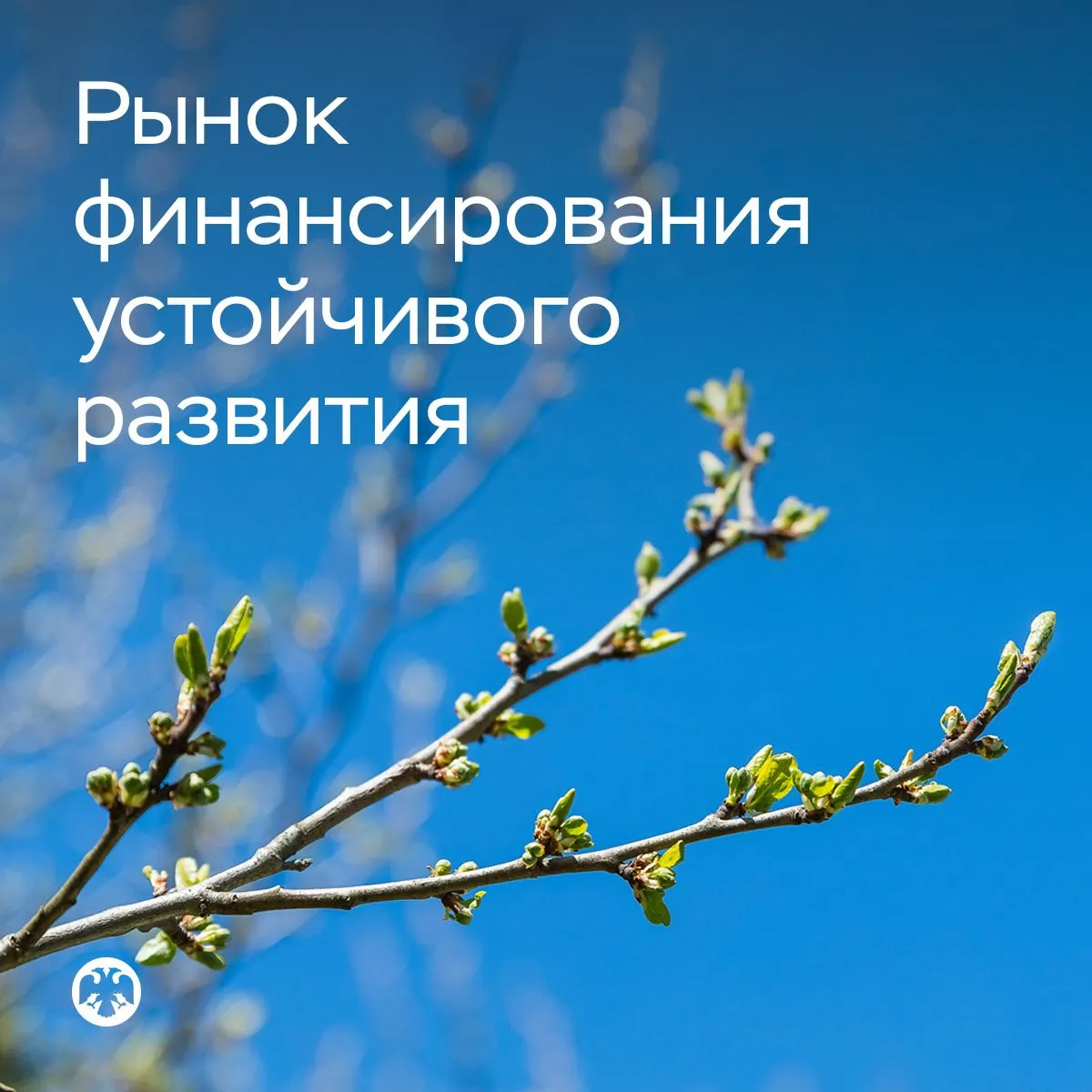 Объем рынка финансирования устойчивого развития вырос в первом квартале на 34 Объем выпусков корпоративных облигаций направленных на финансирование приоритетных зеленых и переходных проектов составил почти 60 миллиардов рублей Это во многом связано с введением стимулирующего регулирования Банка России В отношении таких проектов риск веса были снижены на 10 50 в зависимости от их качества Таким образом банкам стало выгодно вкладываться в зеленую экономику Стимулы распространяются как на кредиты так и на облигации устойчивого развития Вырученные средства будут направлены на финансирование строительства энергоэффективных жилых зданий и закупку общественного транспорта на экологичных источниках энергии