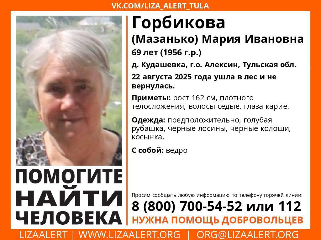 69 летняя женщина пропала в лесу под Алексином В деревне Кудашевка разыскивают 69 летнюю Марию Ивановну Горбикову 22 августа она ушла в лес за грибами и не вернулась Приметы рост 162 см плотного телосложения волосы седые глаза карие Одежда предположительно голубая рубашка чёрные лосины чёрные калоши косынка С собой у женщины было ведро Поисковики просят сообщать любую информацию о местонахождении пропавшего по телефону горячей линии отряда 8 800 700 54 52 или 112