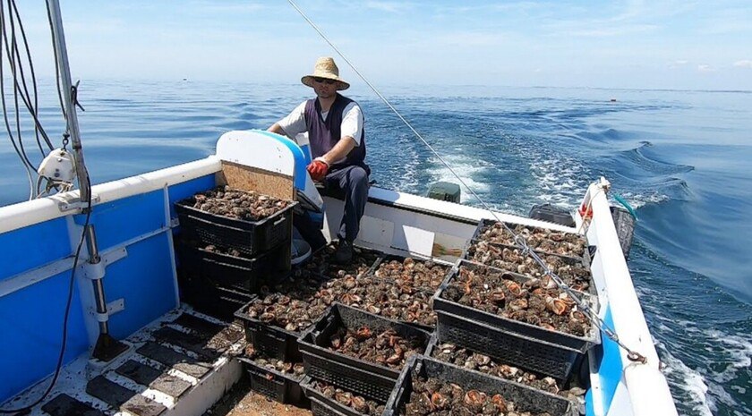 Добыча биоресурсов в Азовском море достигла максимума за четыре года Российские рыбаки в 2025 году добыли 54 тыс тонн водных биоресурсов в Азовском и Черном морях это на 26 5 больше прошлогоднего показателя и максимальный результат за четыре года сообщили журналистам в пресс службе Азово Черноморского филиала Всероссийского научно исследовательского института рыбного хозяйства и океанографии ВНИРО Основными массовыми объектами промысла в Черном море являются хамса и шпрот в Азовском пиленгас бычки камбала калкан креветки черноморские рапана говорится в сообщении Вылов черноморской креветки в Азовском море достиг 488 тонн это на 8 больше чем годом ранее При этом большая часть 82 от всего вылова добыта в Северном Приазовье предприятиями Запорожской и Херсонской областей Этот объем добычи является историческим максимумом для Азовского моря   Подписаться читать на сайте в ВК или ОК