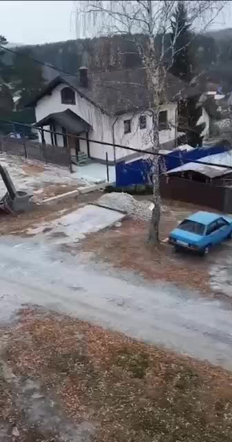 Стая диких кабанов вызывает беспокойство у жителей Сагры
