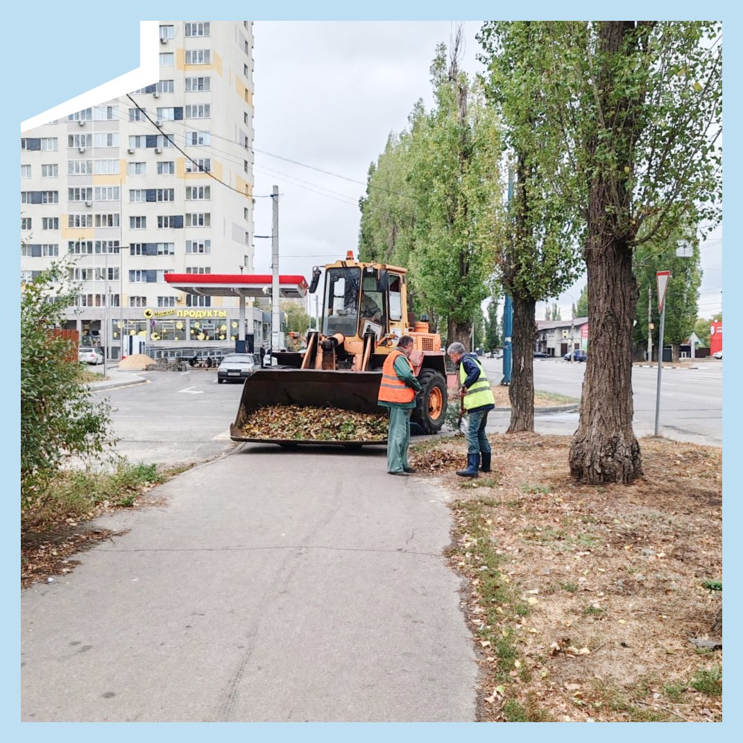 В Железнодорожном районе состоялся санитарный день   На уборку вышли сотрудники районной управы, комбината благоустройства, управляющих организаций, ТСЖ, предприятий, учащиеся школ, техникумов и жители района.  Чище стали территории микрорайонов Сомово, Репное и Краснолесный, улицы городской части района: Лермонтова, Б. Хмельницкого, Артамонова, Ленинский проспект и другие, а также сквер «Совенок».   Силами всех присоединившихся к работам в рамках санитарного дня убрано от мусора и листвы 6,4 гектара озелененных, прилегающих, дворовых и бесхозяйных территорий и вывезено 53 кубометра мусора. Кроме того, комбинатом благоустройства ликвидирована несанкционированная свалка на Дачном проспекте.  Напомним, что присоединиться к наведению порядка можно в санитарные дни 16, 23 и 30 октября, на районных субботниках 12, 26 октября и на общегородском субботнике 19 октября. Информацию можно уточнить у председателей комитетов ТОС, в своих управляющих компаниях и в управе района по телефону 223-07-35.